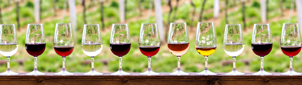 Loire Valley wines including Sancerre